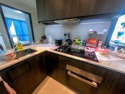 North Park Residences (D27), Apartment #501771411